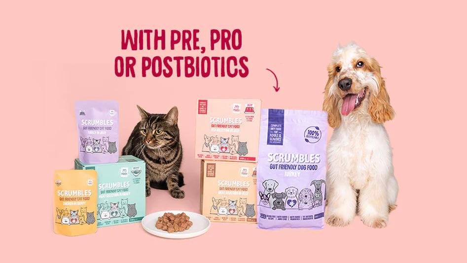 Better Digestion, Happier Pets
